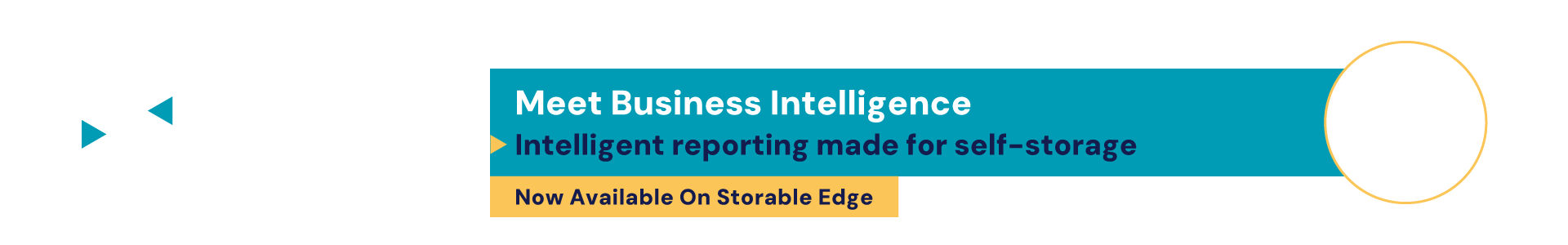Storable_Business-Intelligence_Header
